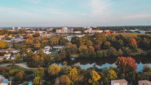 Toiletteur Cergy
